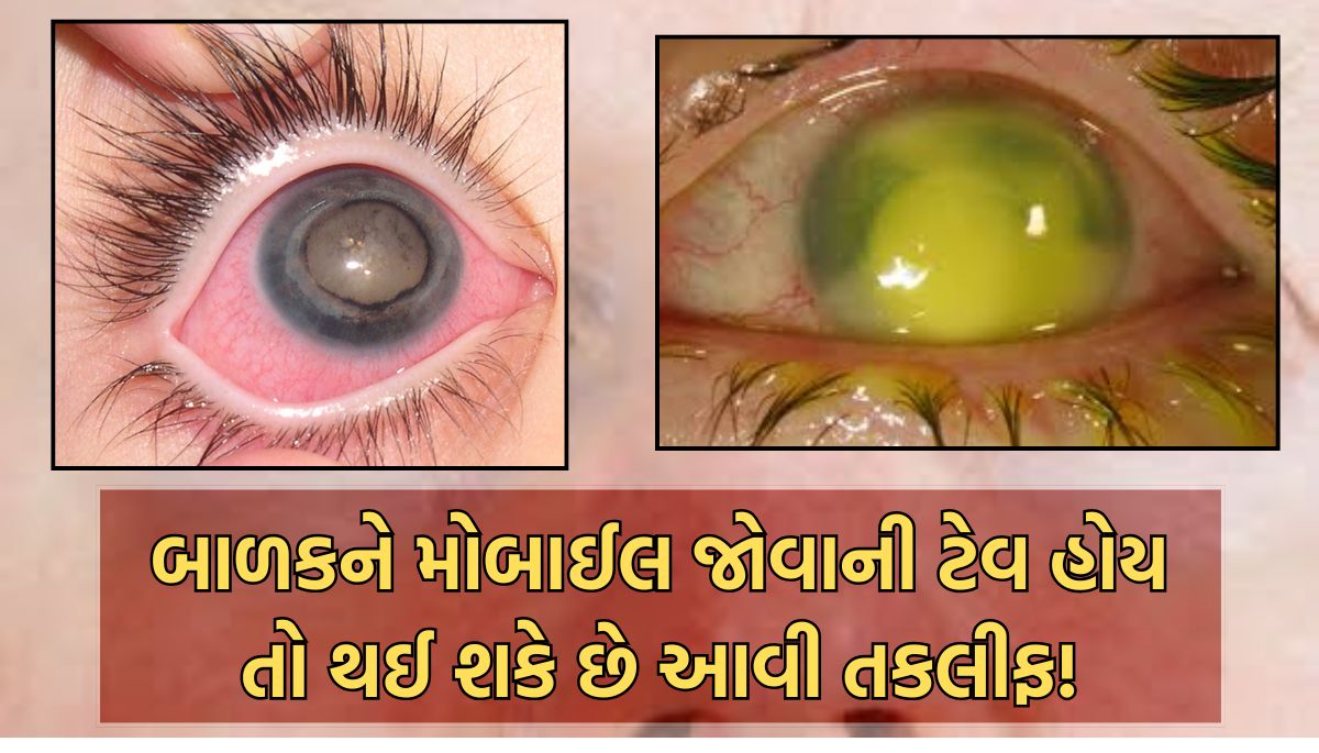 Gujarat News