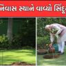 PM Modi House : મોદીએ પોતાના નિવાસ સ્થાને વાવ્યો સિંદૂરનો છોડ