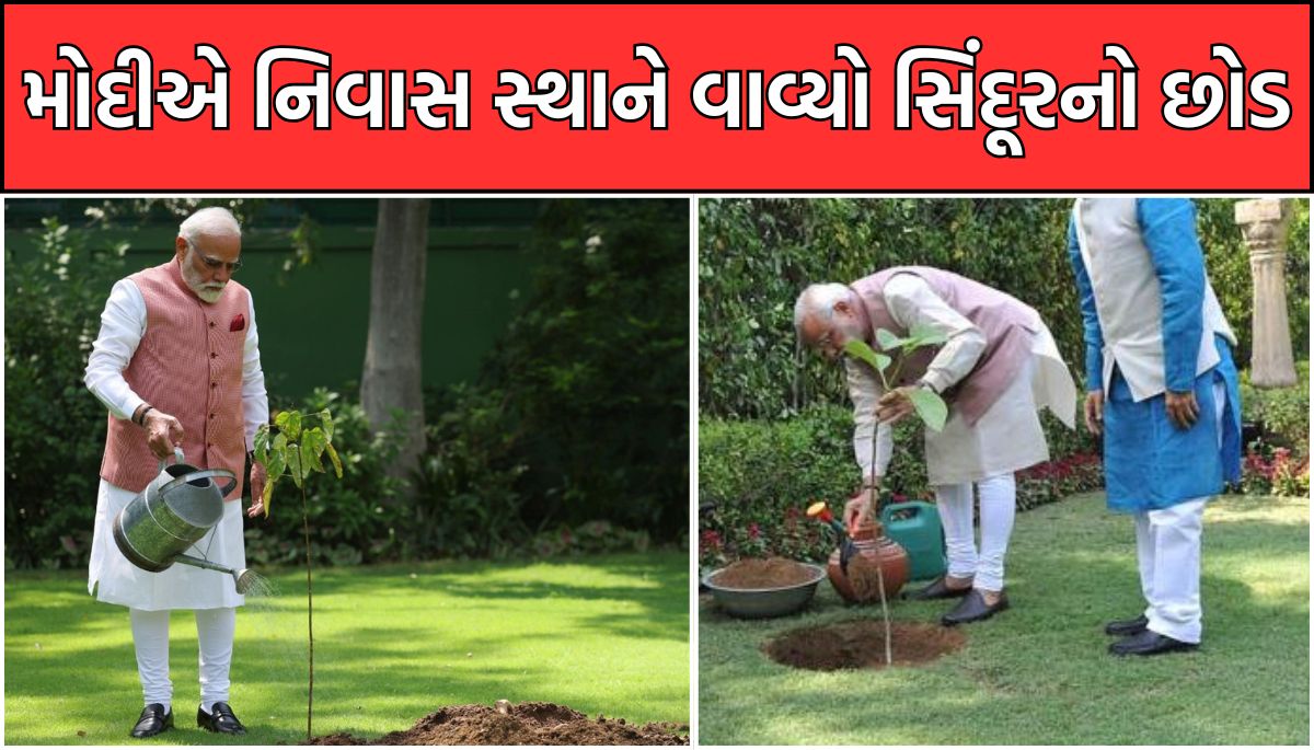 PM Modi House : મોદીએ પોતાના નિવાસ સ્થાને વાવ્યો સિંદૂરનો છોડ