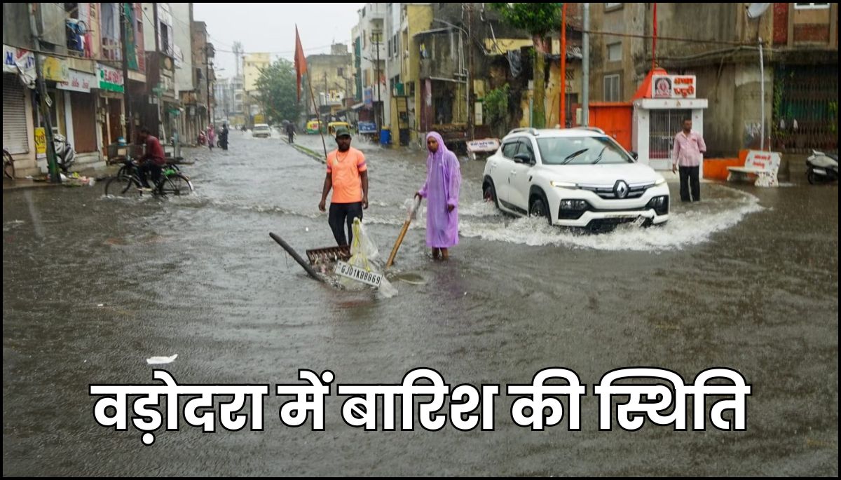 Gujarat Rain News : 7 दिन तक समग्र गुजरात रेड अलर्ट पर , अपने जिल्लेकी बारिश देखिये