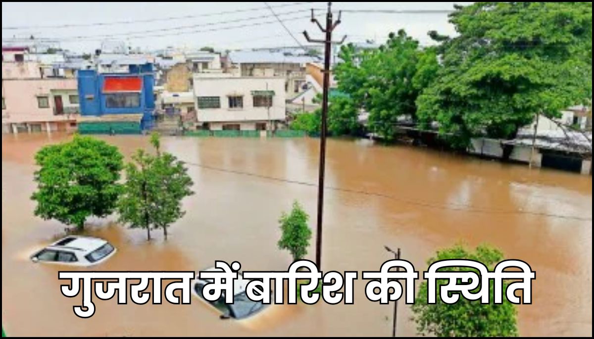 Gujarat Rain News : 7 दिन तक समग्र गुजरात रेड अलर्ट पर , अपने जिल्लेकी बारिश देखिये