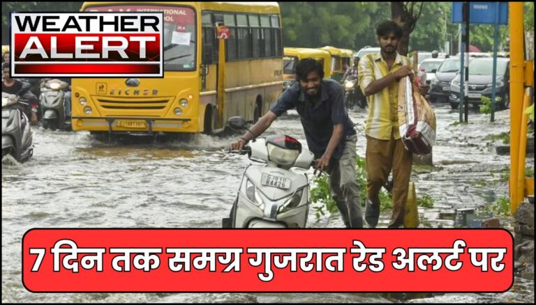 Gujarat Rain News : 7 दिन तक समग्र गुजरात रेड अलर्ट पर , अपने जिल्लेकी बारिश देखिये